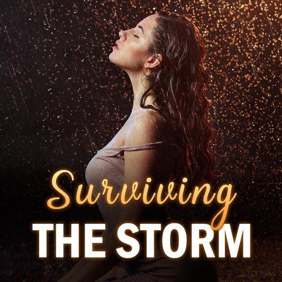 Surviving The Storm Surviving The Storm
